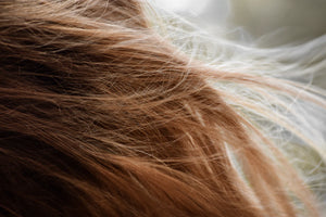 The Secret Connection Between Nutrition and Hair Growth